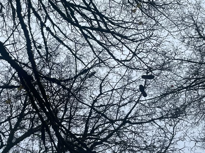 Slog AM: CIA Strikes Venezuela, Trump Threatens Hamas, and the New Year Brings Good News for Washington Workers